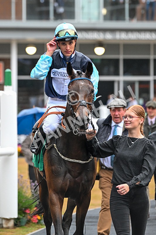 150725-Race 2-Dinamo-6691 - Race 2