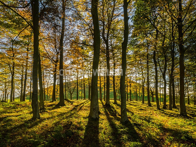 4 - SCOTTISH BORDERS