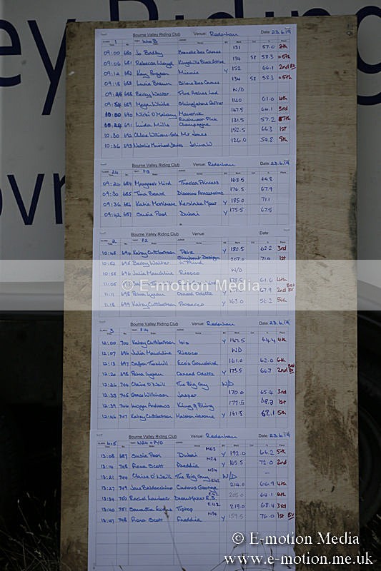 B230619-0993 - Bourne Valley Riding Club Summer Show 23/06/19