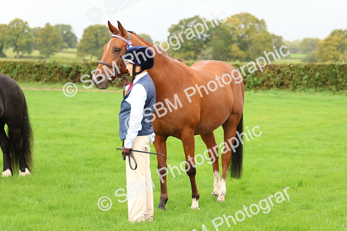 SBM_32853 - S8 - Best Turned Out