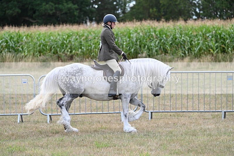 WJ7_5264 - Class 12 Ridden Cob