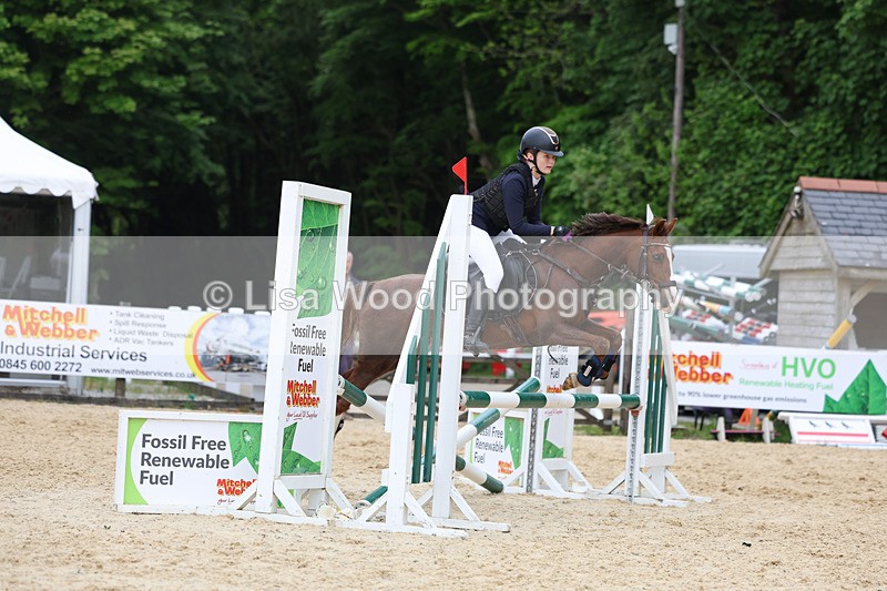 3E7A0092 - Class 13: Pony British Novice/80cm open