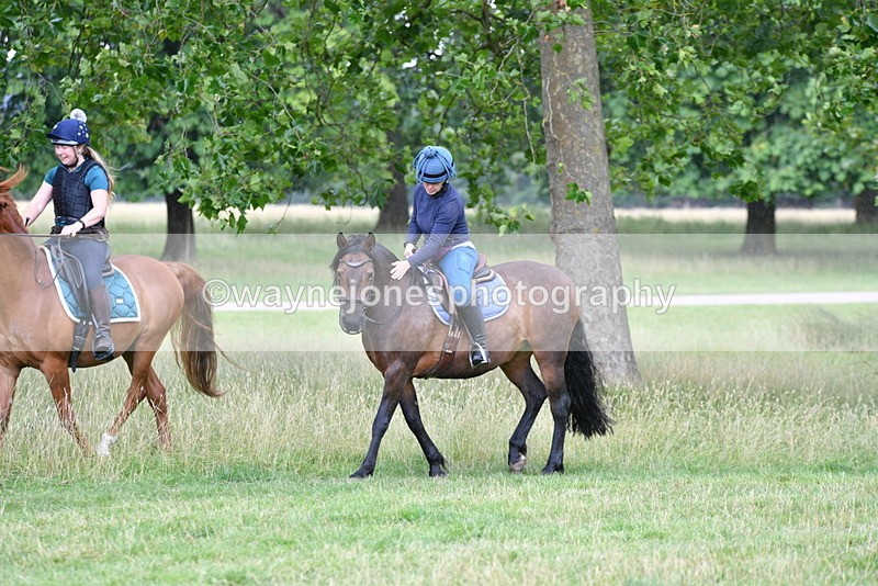 WJ5_2298 - Time at Jump 14:02 to 14:46