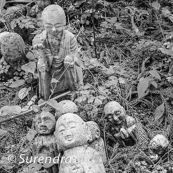 Nashinoki Jizo 8 - Jizo on Sado Island