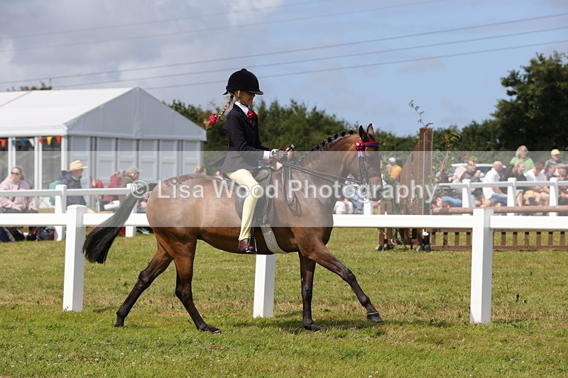 1X9A3890 - Class 31: Show Pony 148cm and under