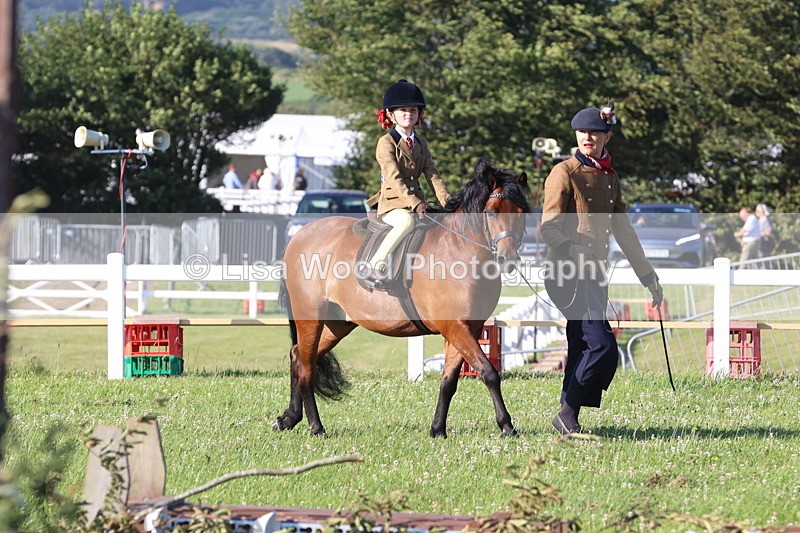 JPP_0660 - Class 16: Cornish Combination Leading Rein