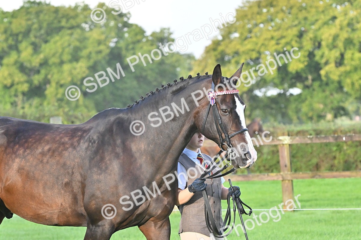 SBM_32566 - S15 - Top Turnout In Hand