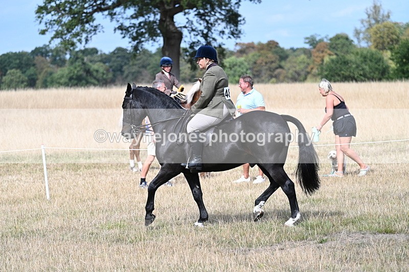 WJ7_5879 - Class 13 Ridden Veterans