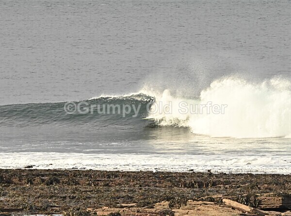 DSC_9279 - Thurso 6th November 2022