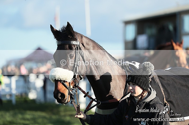 PtP 301125  0477 - Hursley Hambledon Point-to-Point Larkhill Racecourse 30/11/2025