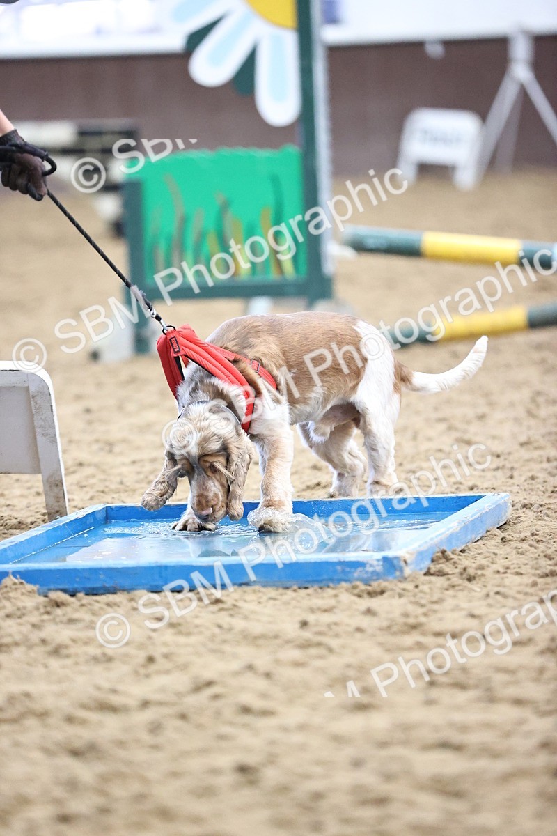 SBM_001348 - Class 3 - Horse & Hound 60cm