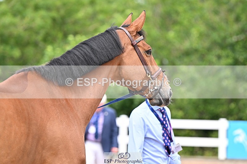 240718A-105309-01636 - Trot Up 1pm to 2pm