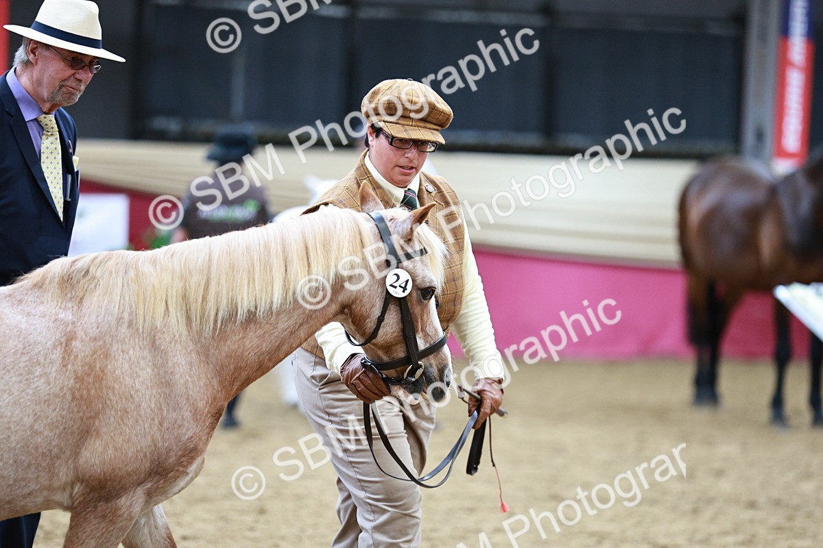 SBM_00962 - Class 2A - Area IH Veteran