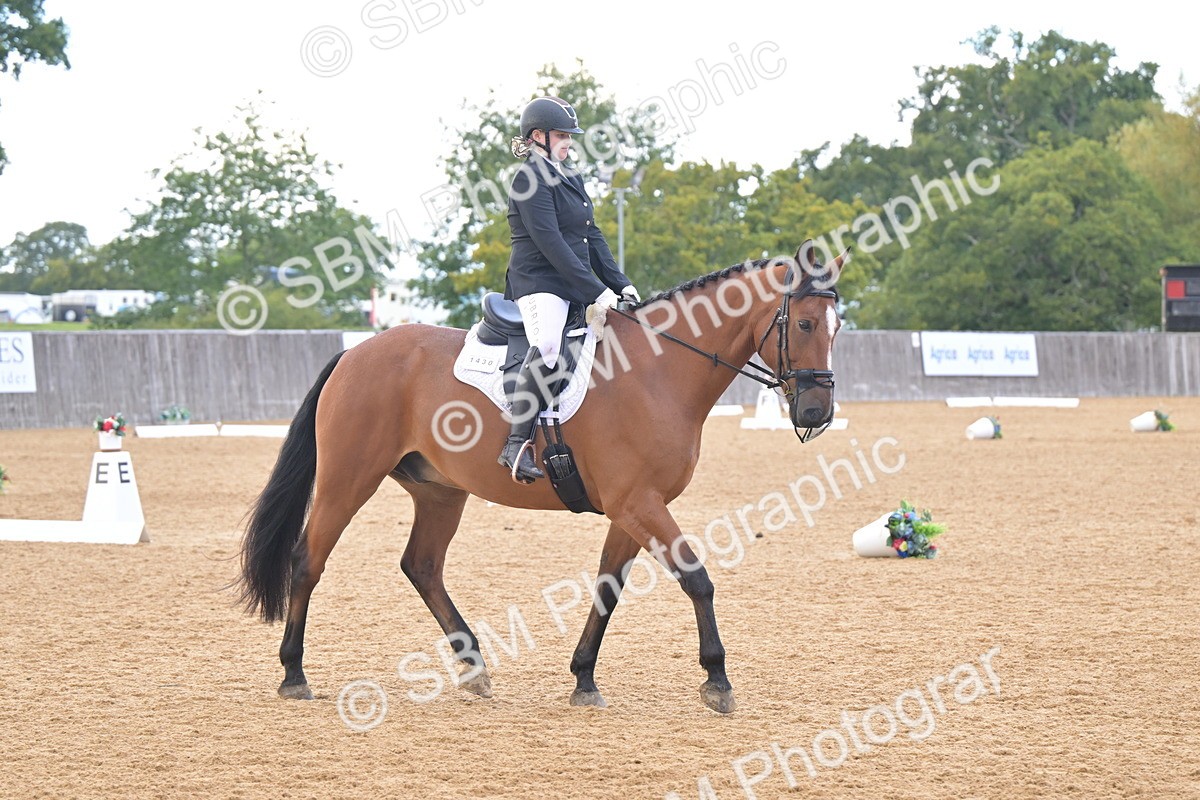 SBM_11241 - D3 - Small Tour Championship Intro 3