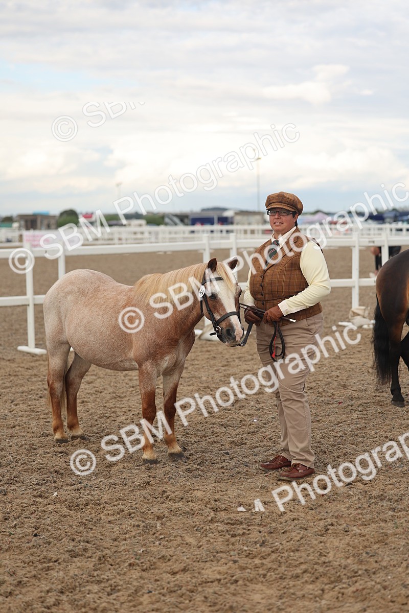 SBM_08532 - Class 29 - IH Veteran Pony