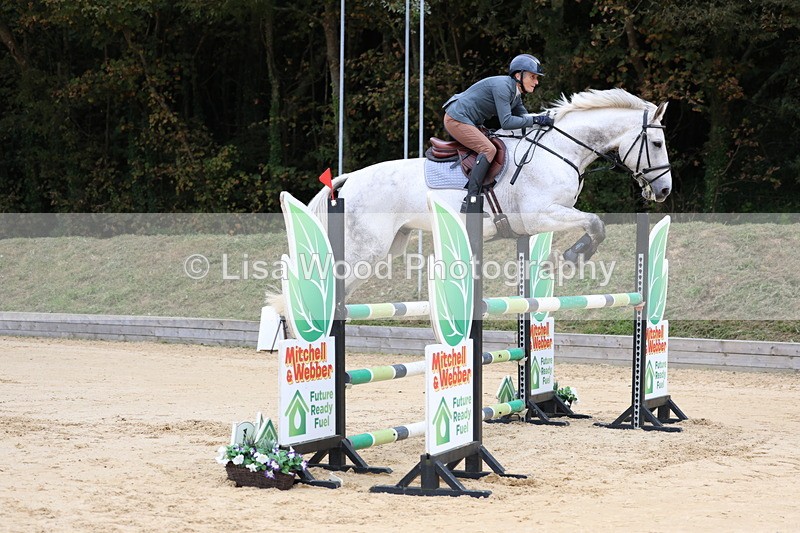 3E7A3220 - Class 9: Senior Foxhunter/1.20 open