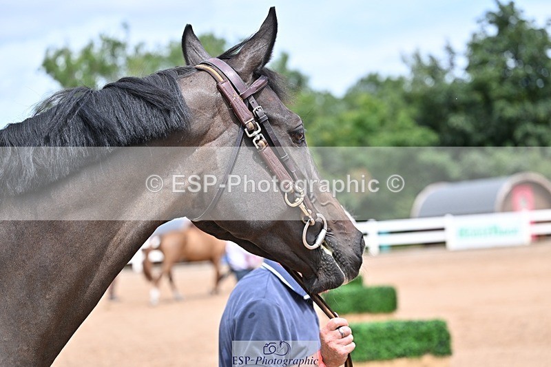 250716-130603-00329 - Trot Up 12.30 to 1.30