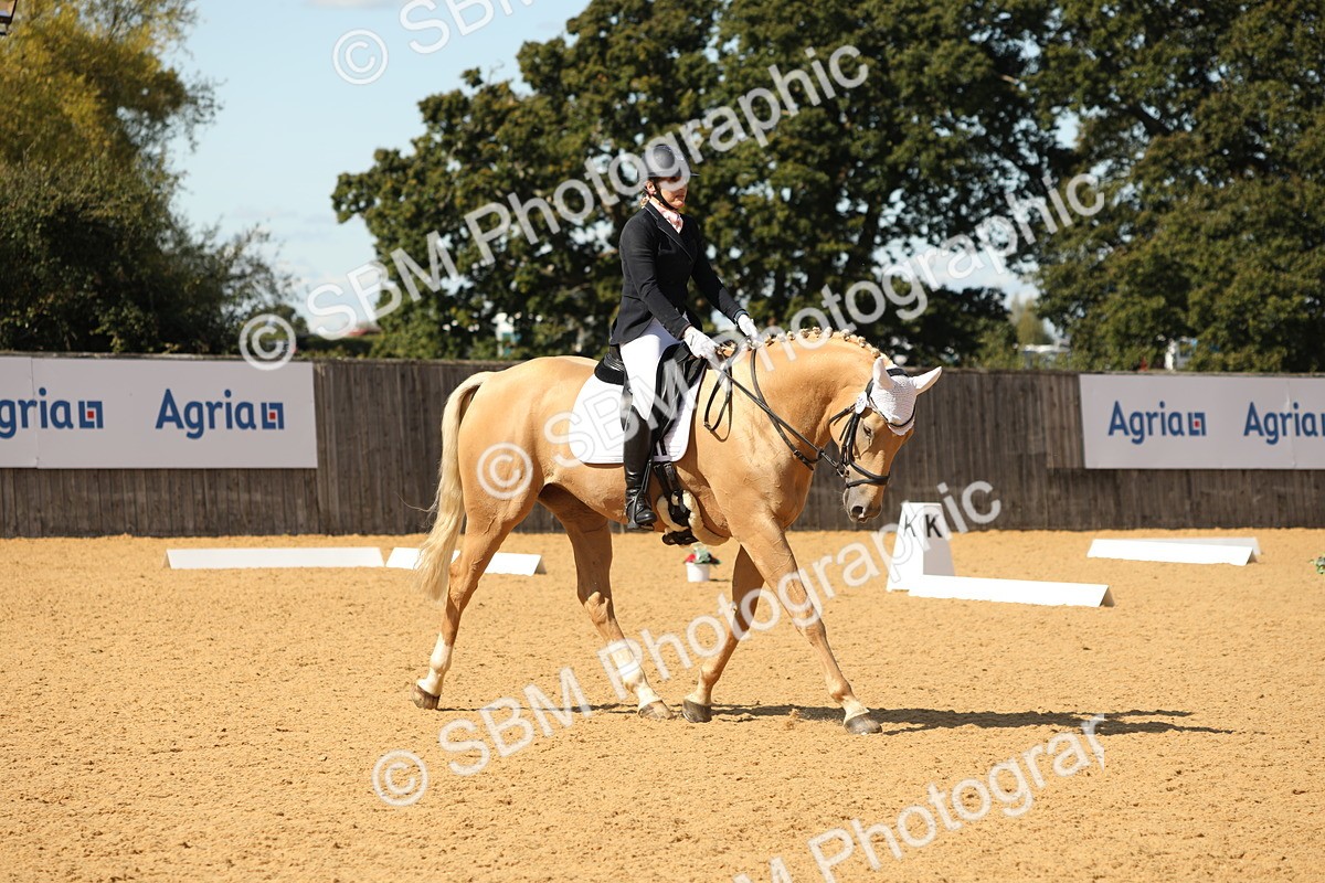 SBM_22327 - D17 - Grand Tour Championship - Novice 27