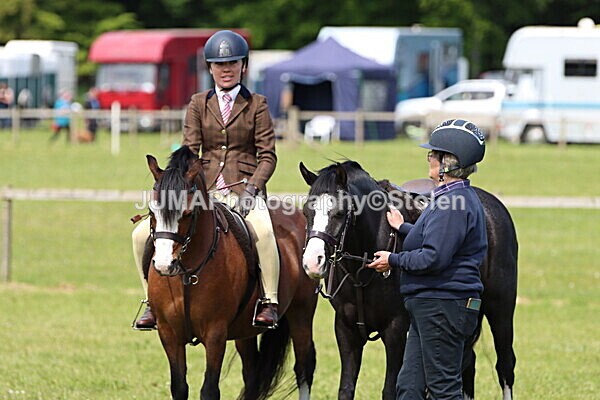 IMG_3458 - Working Hunter