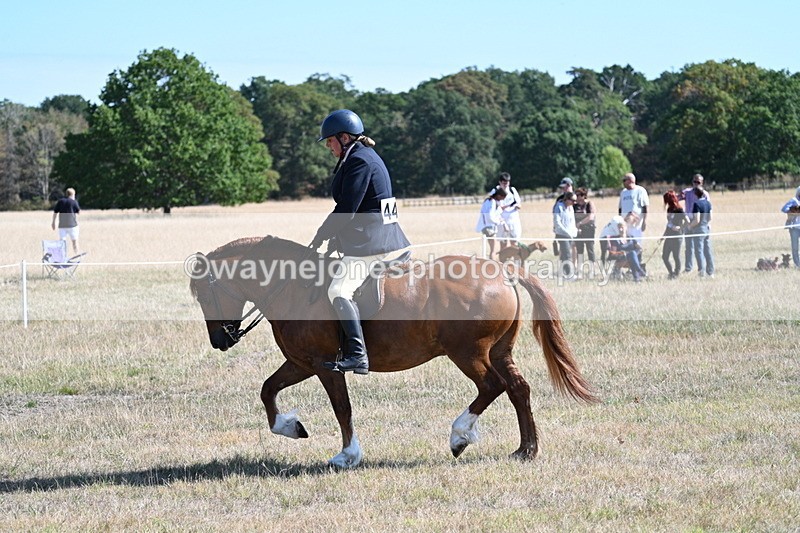 WJ7_3874 - Class 9 Mountain & Moorland Ridden
