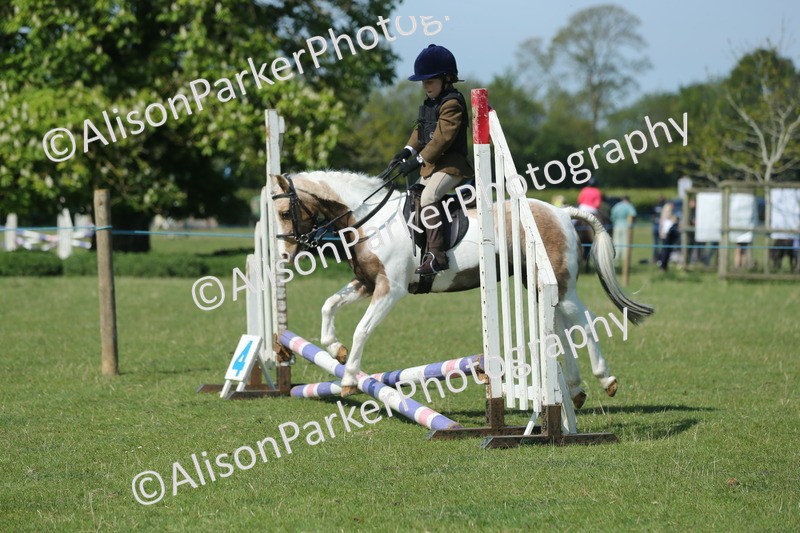 20250427-1894 - Class 2 - Mini Jumping 30cm