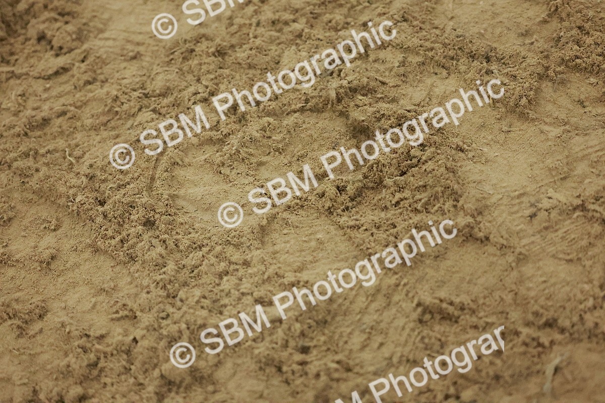 SBM_005021 - Class 6 - Chase Me Charlie