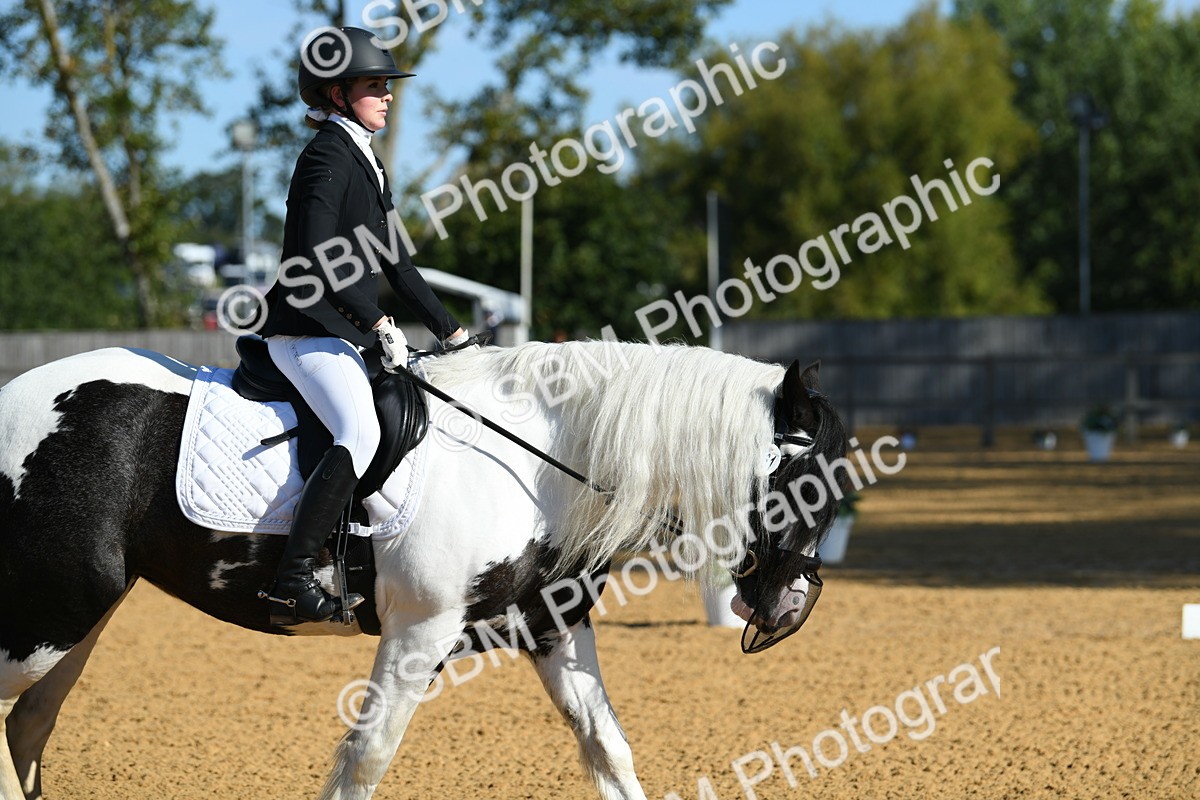 SBM_16295 - D4 - Small Tour Championship - Intro B