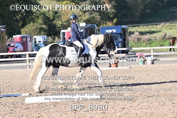 BPP_8980 - SHORT ARENA