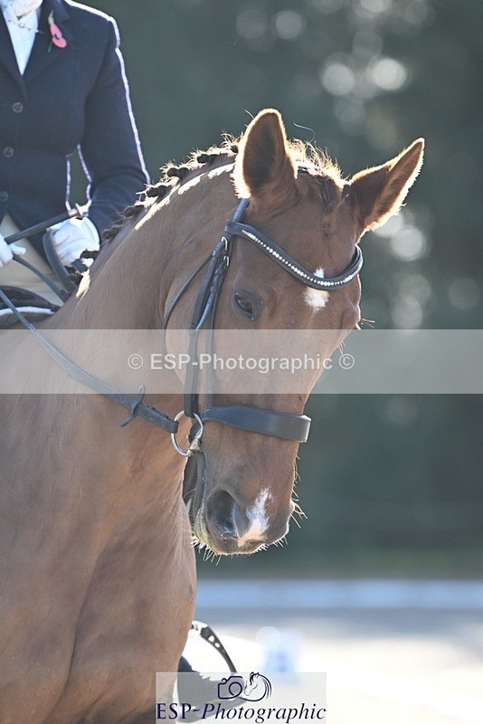 231110-121838-00643 - Cls 3 Novice 22