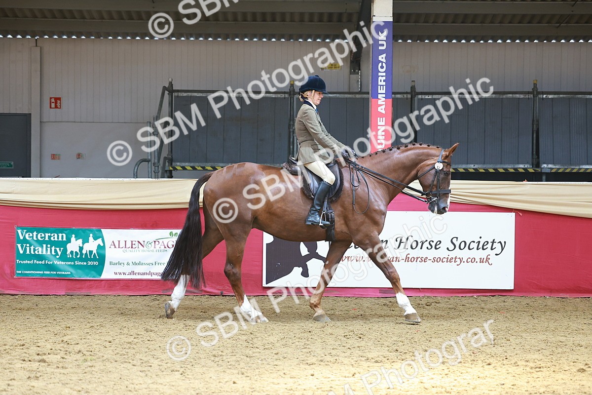 SBM_12743 - HOYS Veteran Qualifier - Ridden Champ