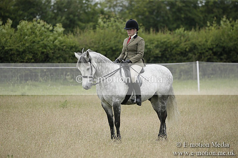 B230619-0518 - Bourne Valley Riding Club Summer Show 23/06/19