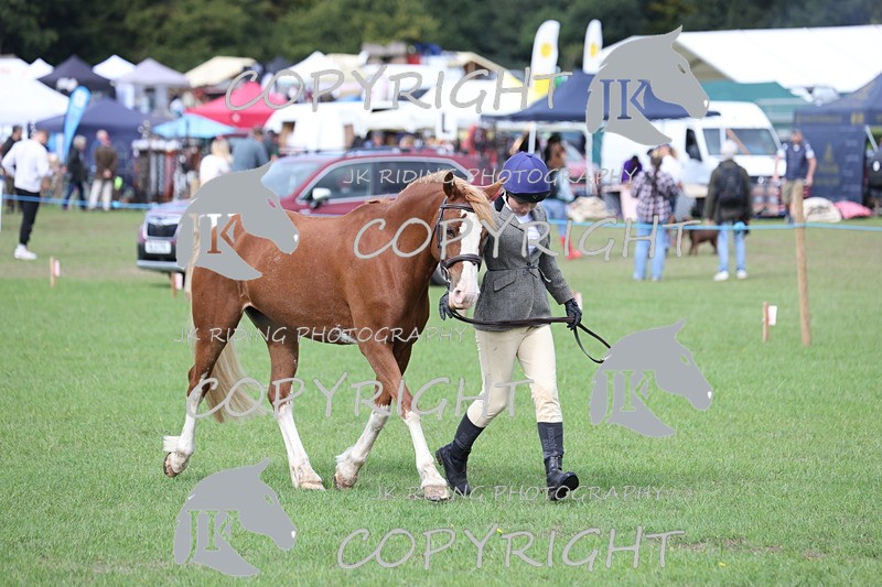 APP_2643 - Class 9 Veterans in hand