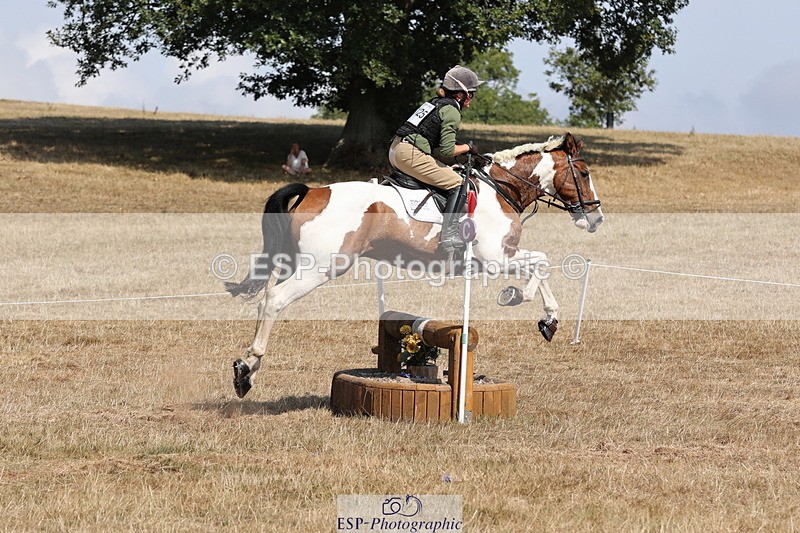 250824A-144103-38197 - 2125-Hen.Jeanes-Painted.proper