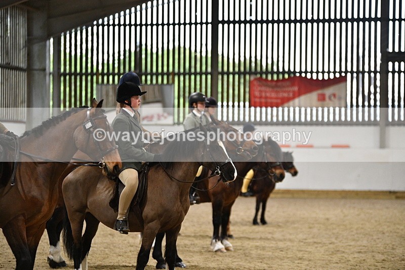 WJ5_8665 - Class 14 Novice Ridden/Rider