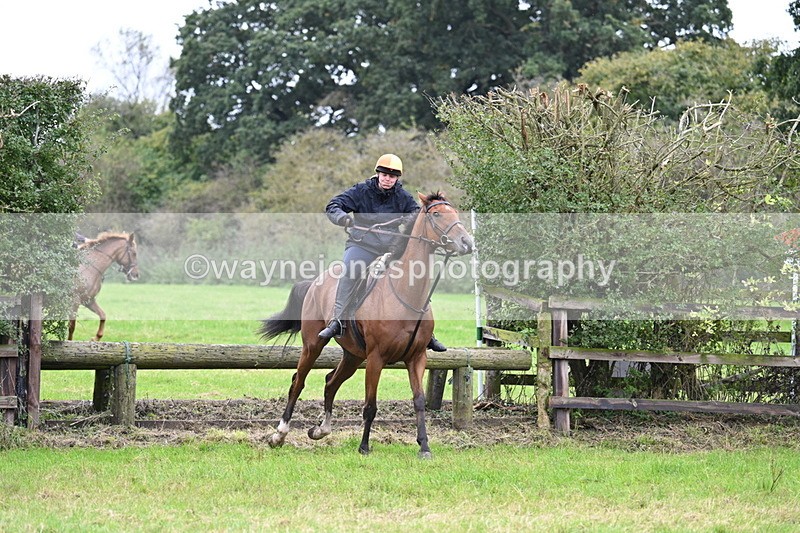 WJ7_9736 - Time at Photographer 10:58 to 11:23