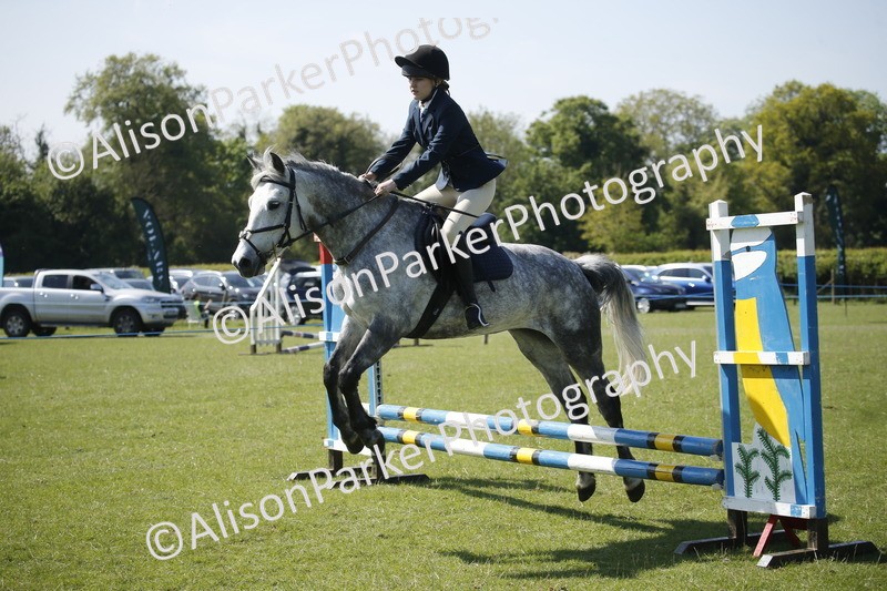 20250427-2176 - Class 13 - Novice Jumping 60cm