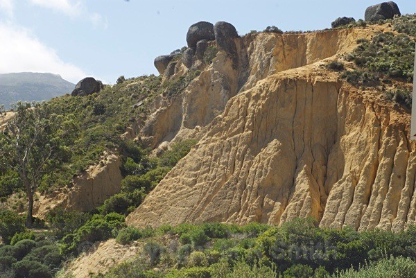 Within Kruger Park, Sth Africa - LANDSCAPES & TREES