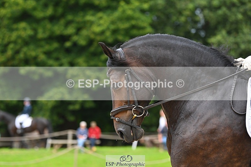 230813-104544-06424 - Cls 12 Elem Silver 10.35 to End