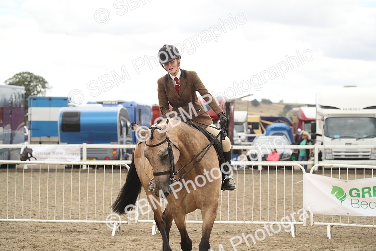 SBM_16668 - Class 507a - Working Veteran - 60cm (15-19)