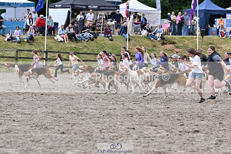 250524A-152734-12751 - East Devon Hounds