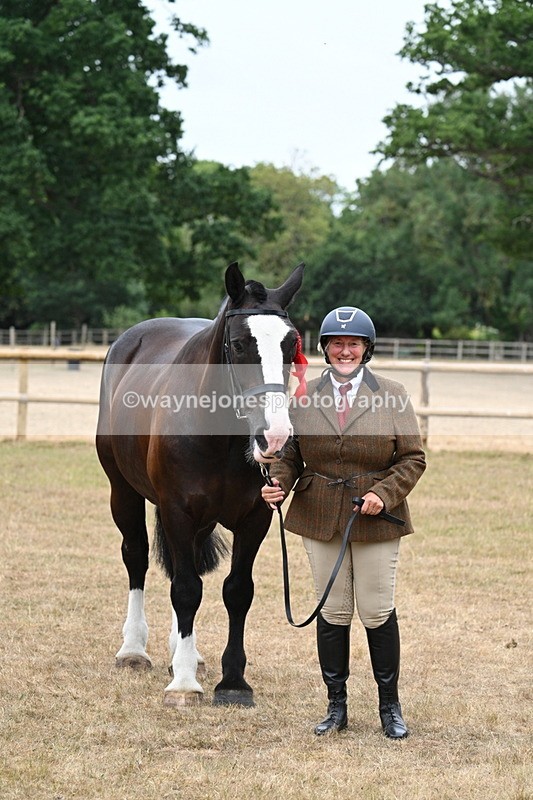 WJ7_0186 - Class 5a Most Handsome Gelding (above 14.2hh)