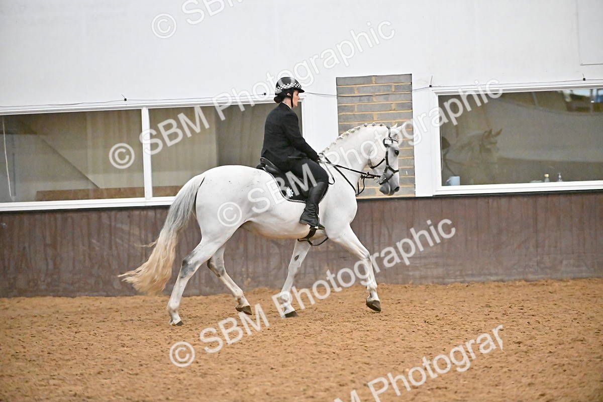 SBM_002985 - Class 37,38 - UKPSAF Performance Horse & Pony