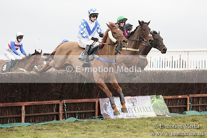 PtP 180218 376 - Combined Services Point-to-Point Larkhill 18/02/18