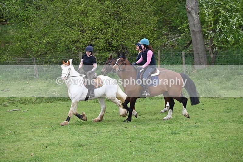 WJ6_3145 - A camera