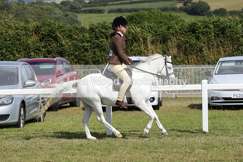 1X9A5684 - Class 40: NPS Welsh A & B