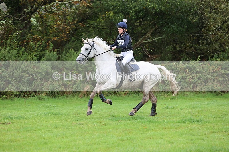 JPP_5442 - Class 4: 80cm: Crossed Logs