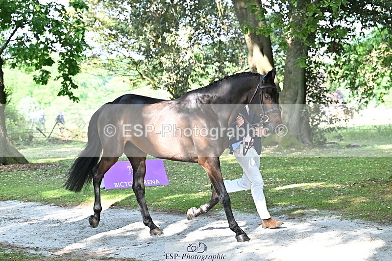 250521A-164943-01361 - C-264-Max.Warburton-EARL.DORADO