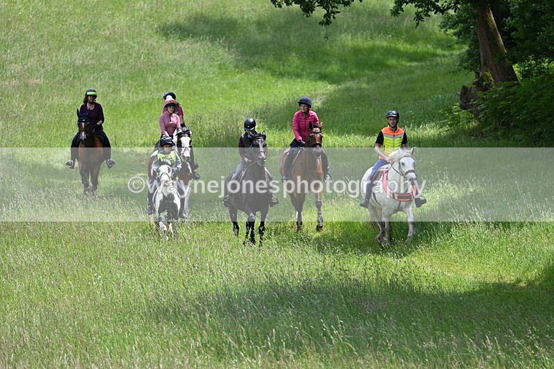 WJ7_8755 - Group 4 11am