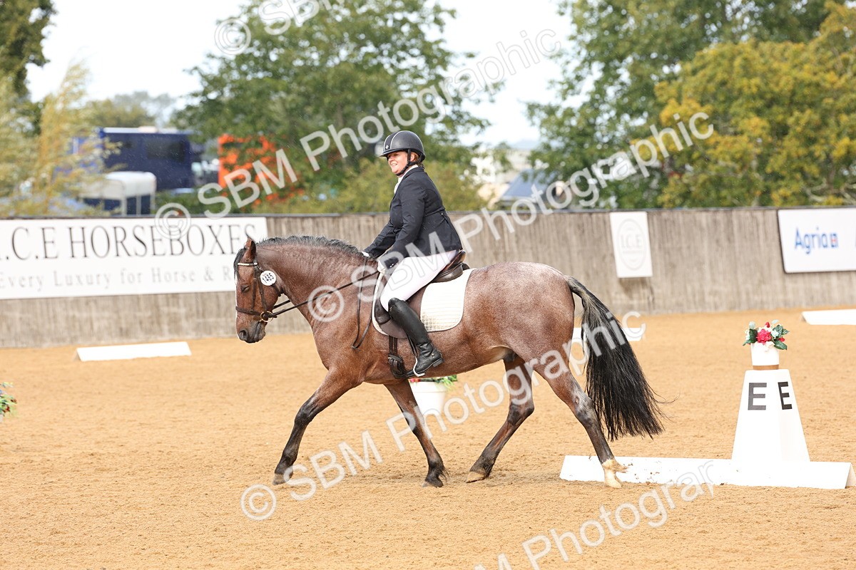 SBM_19576 - D10 - Small Tour Championship Prelim 2