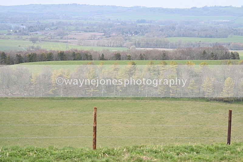 WJ7_8021 - Line 2 A camera